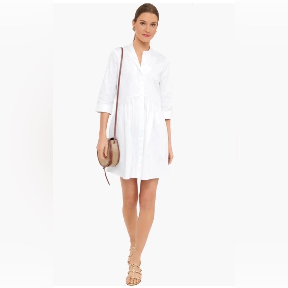 Tuckernuck Royal Shirt dress xs
